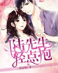 陆先生的心尖宠小说